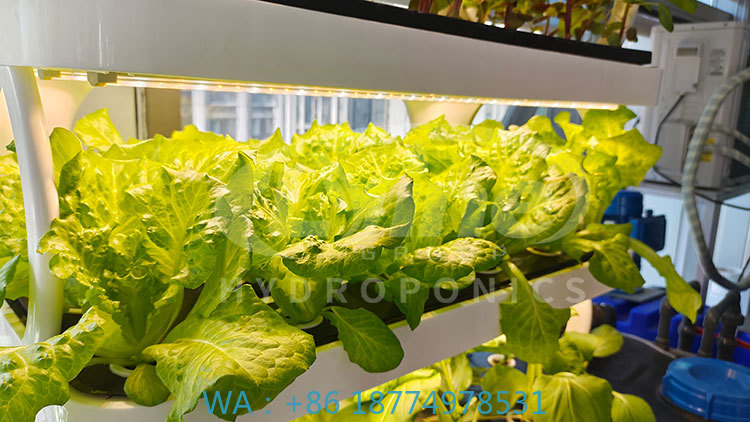 Agriculture Vertical Farming - c Máquina agrícola para cultivo de