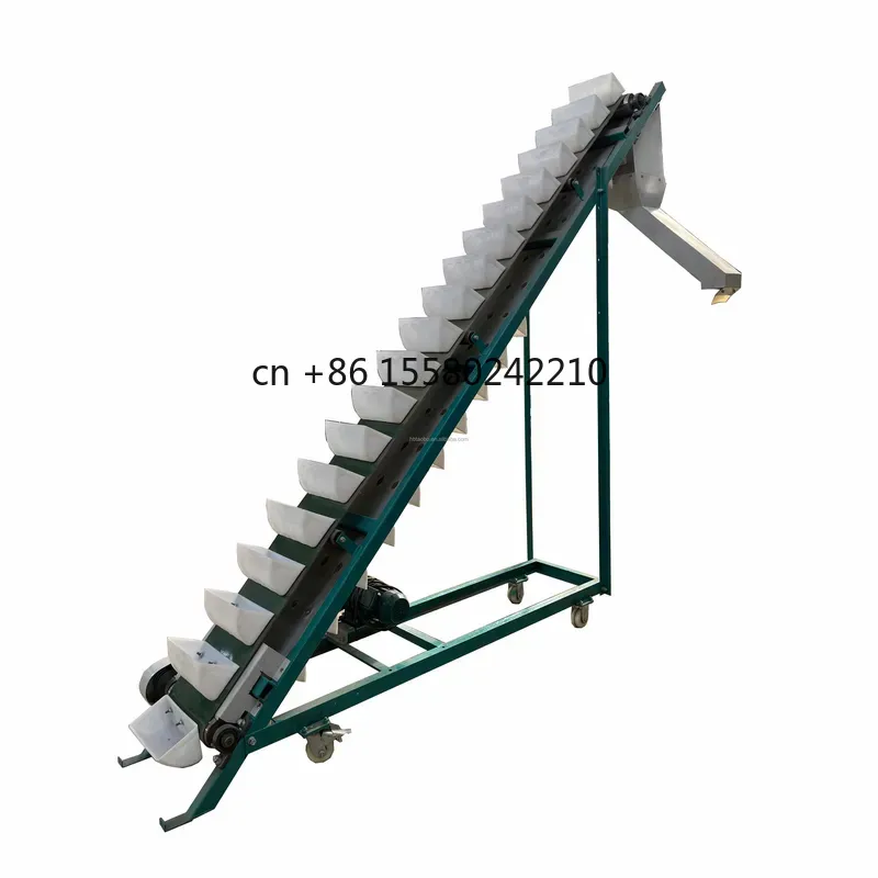 Agriculture Vertical Farming - Elevador de Sementes de Arroz 2026