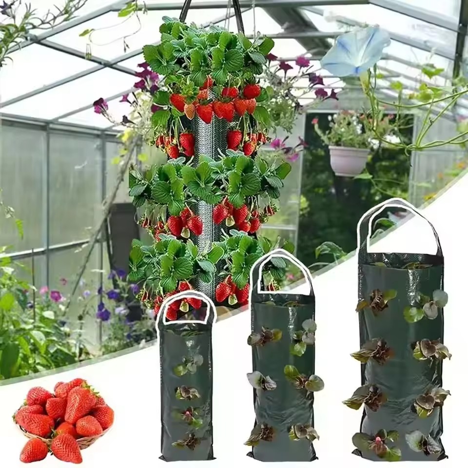 Saco de plantio vertical para  - Agriculture Vertical Farming avaliação e preço