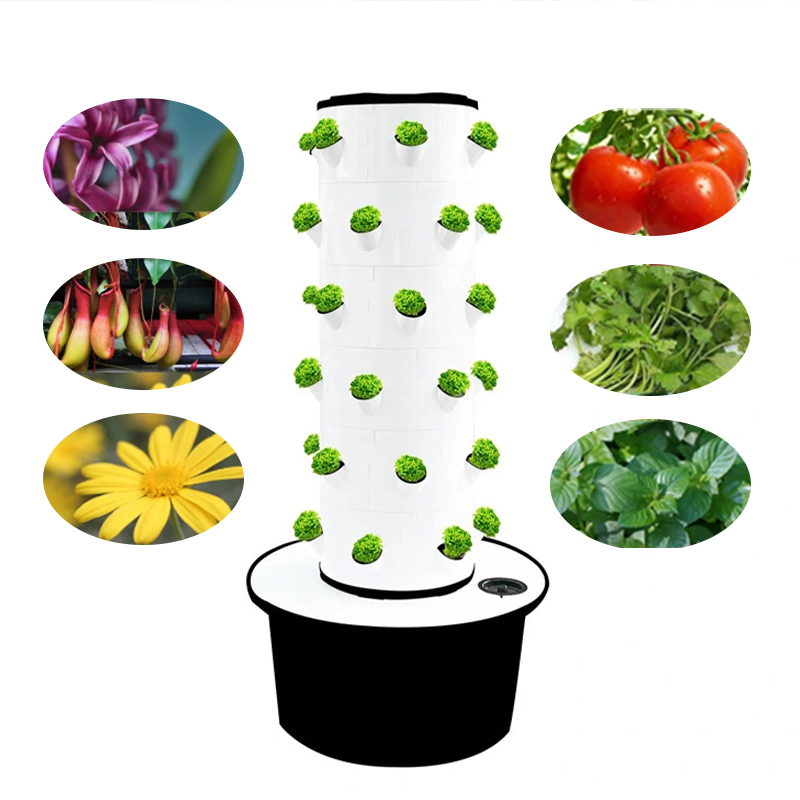 Sistema de Torre Hidropônica e - Agriculture Vertical Farming avaliação e preço
