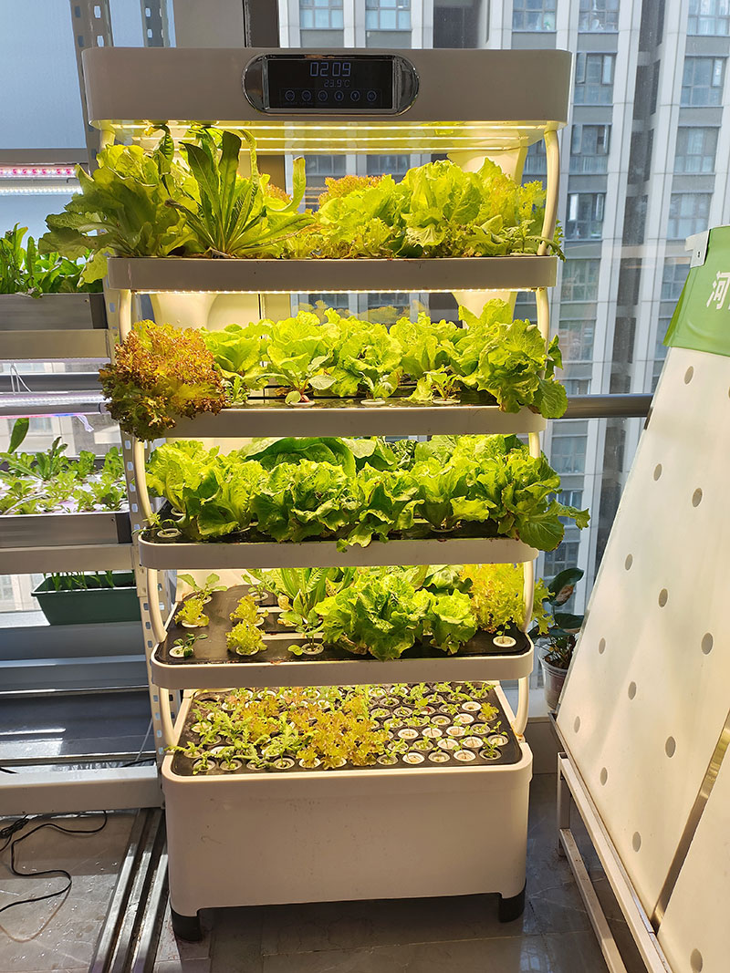 c Máquina agrícola para cultiv - Agriculture Vertical Farming avaliação e preço