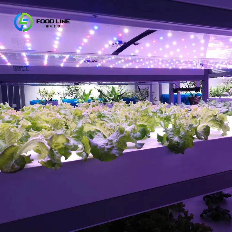Contêiner Agrícola Vertical Pe - Agriculture Vertical Farming avaliação e preço