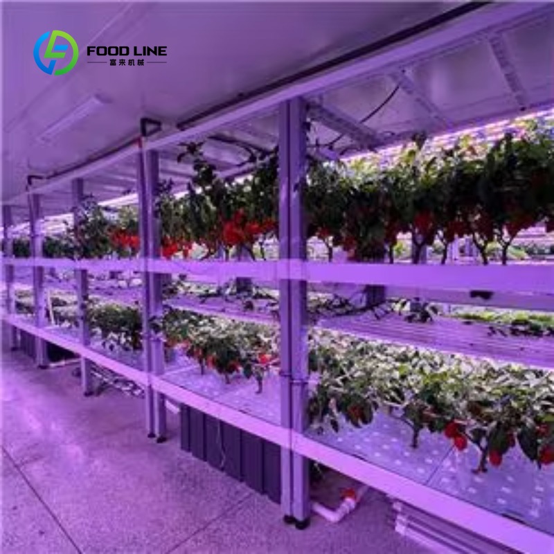 Contêiner Agrícola Vertical Pe - Agriculture Vertical Farming avaliação e preço