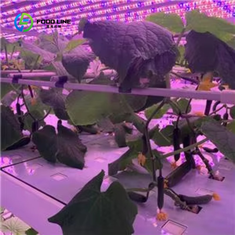 Contêiner Agrícola Vertical Pe - Agriculture Vertical Farming avaliação e preço