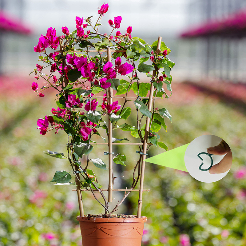 50/100 peças de Clipes para Pl - Agriculture Vertical Farming avaliação e preço